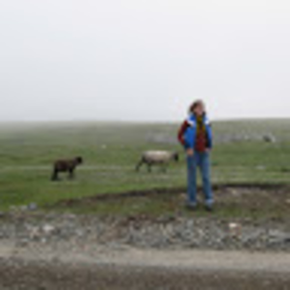 Meet your Posher, Nicole - Picture 1 of 1